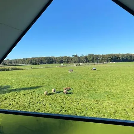 Apartament Zandzicht 2