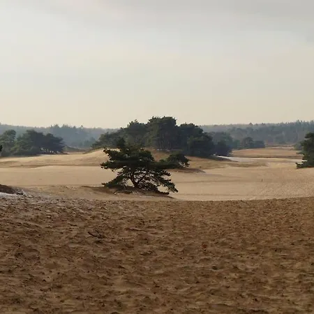 Апартаменты Zandzicht 2 *