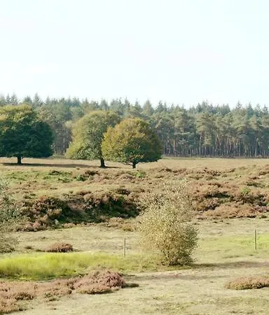 Lejlighed Zandzicht 2 Wekerom