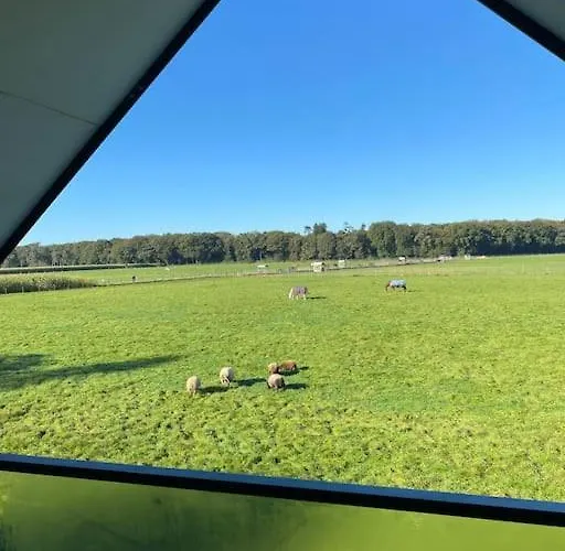 Appartement Zandzicht 2