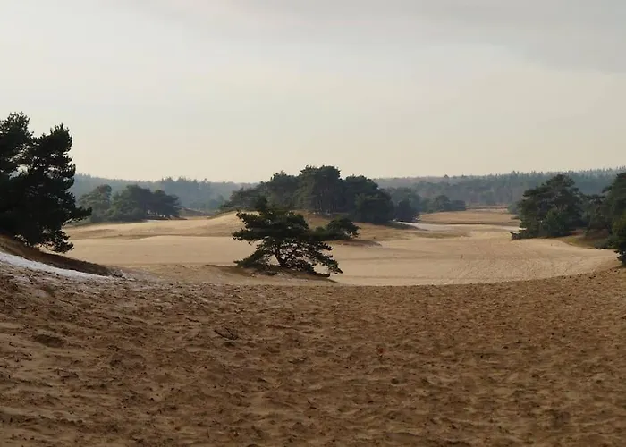 Appartement Zandzicht 2 *