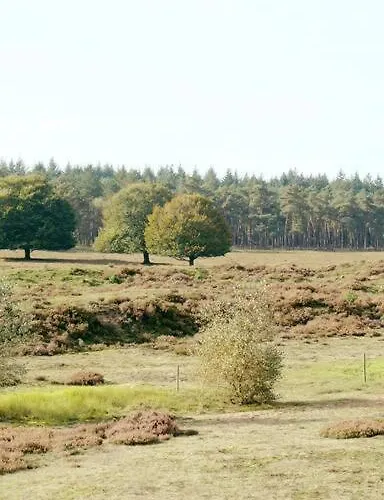 Appartement Zandzicht 2 Wekerom